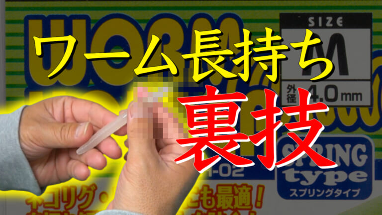 《裏ワザ》知らなきゃ損。千切れやすいワームを長持ちさせる丸秘テクで財布に優しく経済的に。