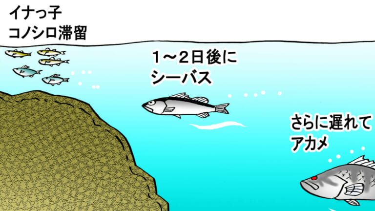 《シーバス》釣れない人がすぐに実践すべき4つの条件「1ヶ所10投で見切るのが基本」