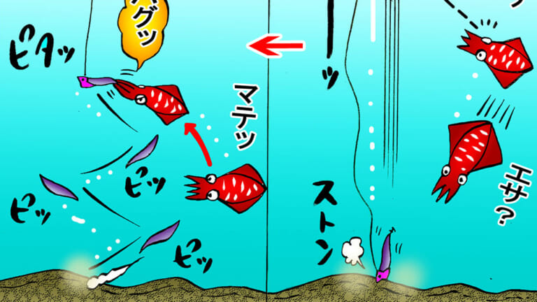巨大アオリイカは狙って釣れる？実際に沖縄で検証！見えてきたこととは？［レッドモンスター釣行 後編］
