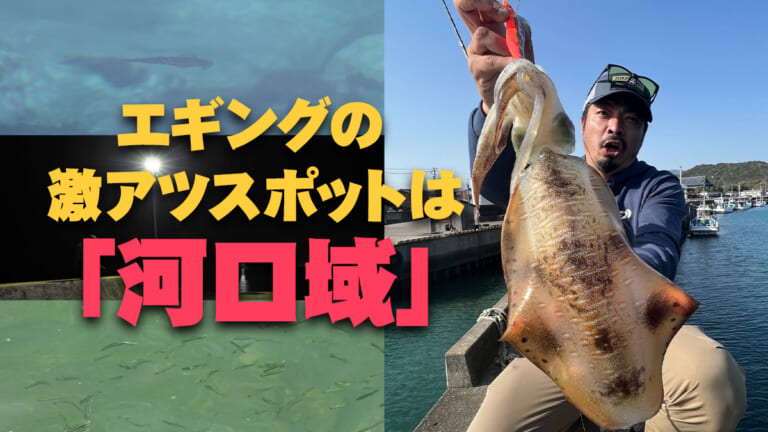 アオリイカは「河口域」でも釣れる！固定概念を払拭すればでかイカも狙える「超穴場」ポイントだった！【おかぴ〜のエメラルダスシーズナルタクティクス】