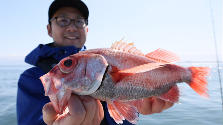 《高級魚キタコレ》絶景の富山湾といえば「のどぐろ」でしょ！ アカムツ・スルメイカ他豪華リレー！