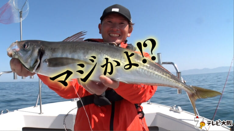 《デカすぎィ》これがアジ!? 50cm超えモンスターを狙って瀬戸内海に挑む。（84ページ目）