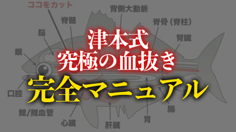 保存版》魚が劇的に美味しくなる！ 津本式・究極の血抜き完全マニュアル│ルアマガプラス