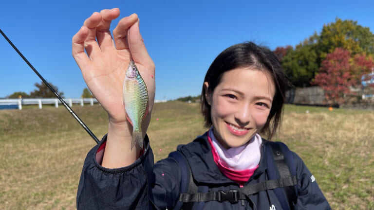 手作りホットケーキでイチコロ♥ 近所で出会える宝石みたいな綺麗な魚！