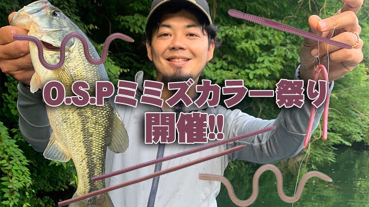 ｜見えバスを釣るなら「ミミズカラー」！サイトの超達人・峯村祐貴の使い分けを徹底解説！【O.S.Pのミミズカラー祭り開催】 