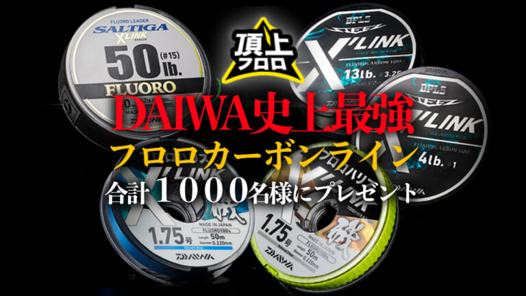 《DAIWA史上最強》ラインが1000名に当たる超素敵キャンペーンが本日より開催！【6/6まで】