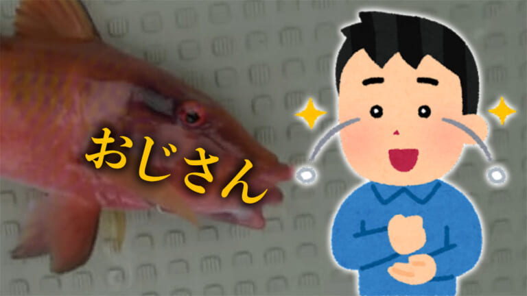 《マジか》変な名前の魚、語源に目からウロコ「オジサン」「ヤリマンボウ」「スベスベマンジュウガニ」