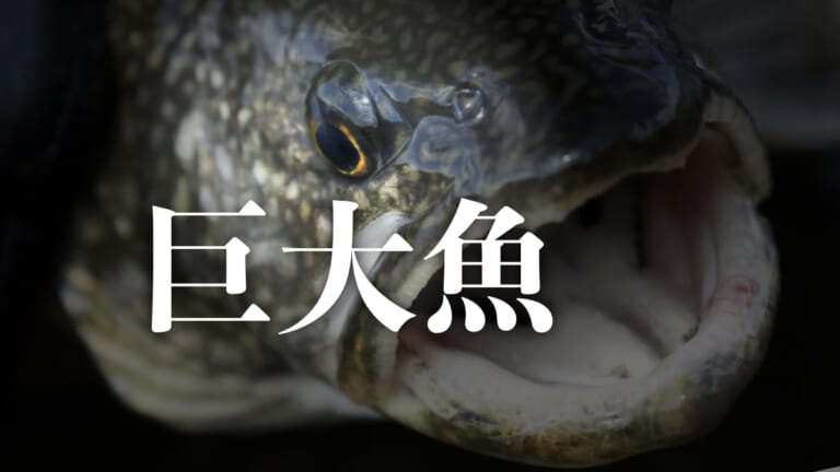 《メーター超え》の巨大魚⁉ 毎年4月1日、栃木県中禅寺湖に通う理由とは。