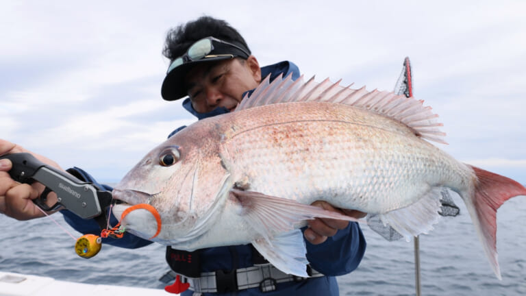 日本海の良型を名手が狙う！新潟県柏崎沖の鯛ラバ