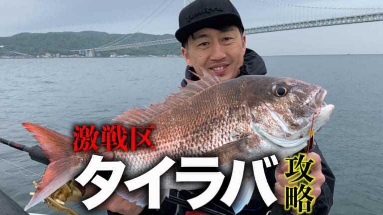 なぜ釣果に差が出る!?マダイゲーム激戦区（明石沖）でガチ検証！［タイラバタクティクス］