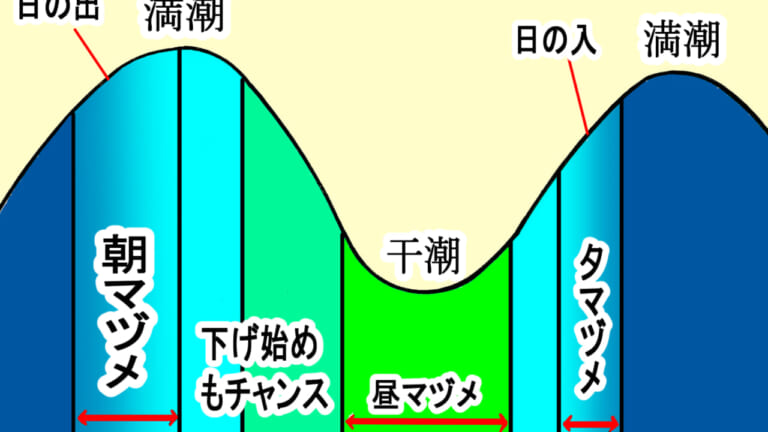 ［エギング］アオリイカが釣れやすい時合いはいつ？「1日3回」のチャンスを逃すな！