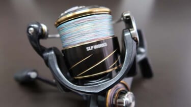 ダイワ　24ルビアス　LT2500S SLPスプール 24ルビアスのスプール互換性 〜 おじさんの自由研究w│少人数