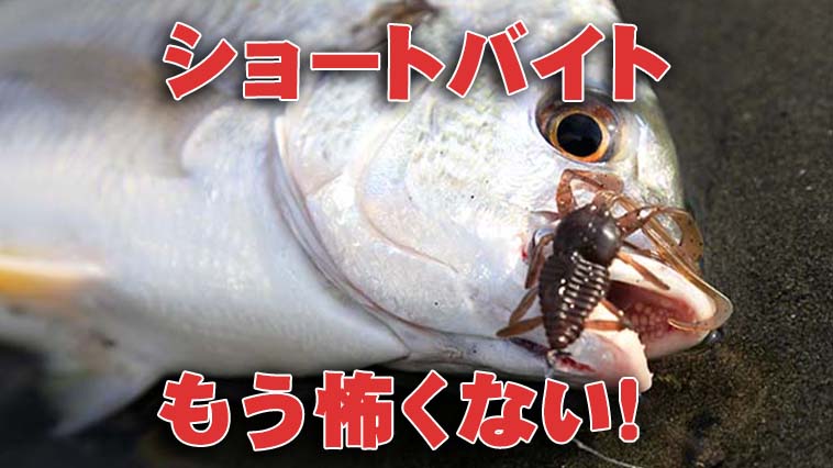 今時期に最適！チニング用ひと口サイズワーム『クリーパーバグ（アクアウェーブ）』 【ショートバイトはもう怖くない！ 】