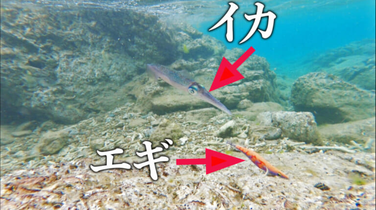 ［エギング］海底に放置したエギでもイカは抱くのか？実験の結果が意外過ぎた！