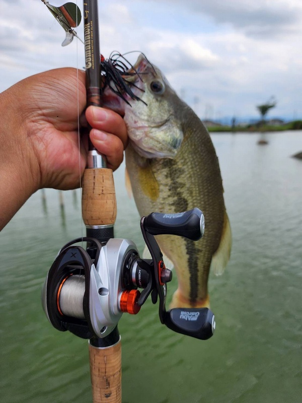 専用アブガルシア　Revo5x ウィンチWLP Revo5xhs バスx 3点 REVO5 X (レボ5 X)｜AbuGarcia｜釣具の総合メーカー ピュア