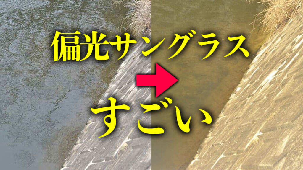 偏光サングラス 人気 霧 見え方