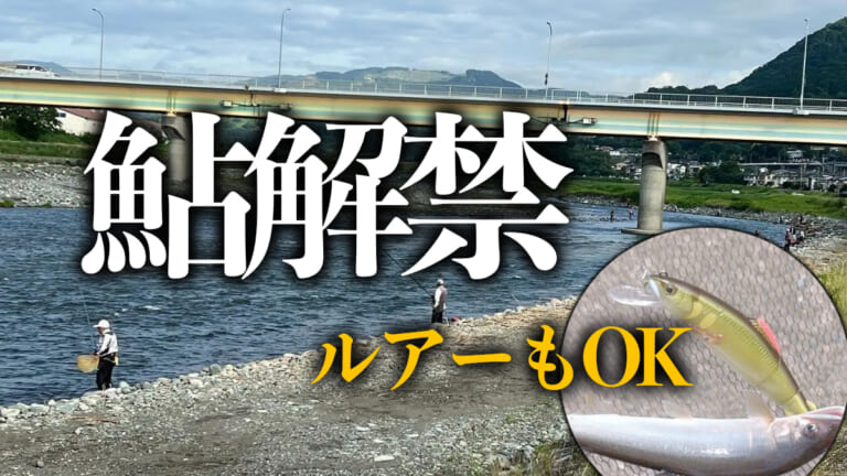 小田原「酒匂川」で鮎釣り解禁、鮎ルアーもOK！