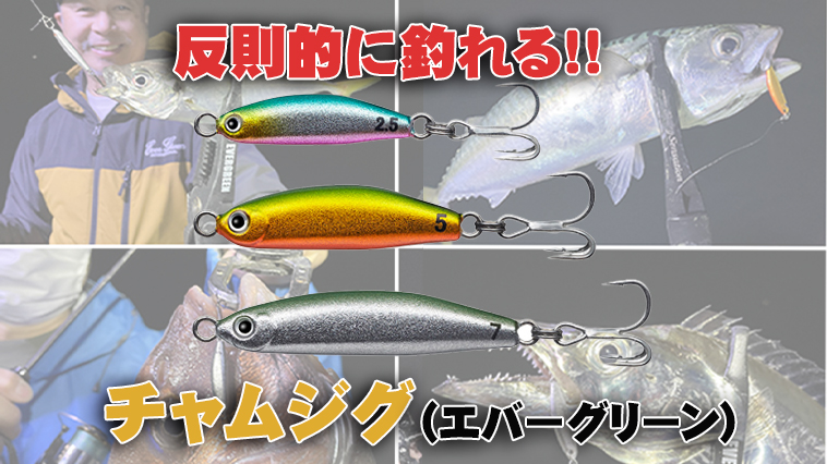 ｜反則的に釣れる！ひと口サイズの《魚種不問》メタルジグ『チャムジグ（エバーグリーン）』