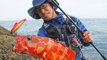ロックフィッシュの釣りを始めたいならこのロッドは間違いない