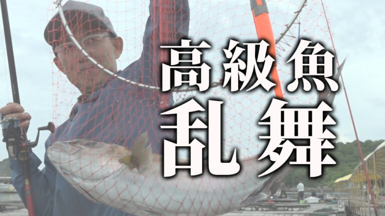 《高級魚乱舞》名手も夢中になる「海上釣堀」がスゴかった…！