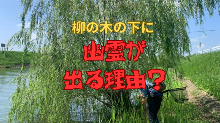 《釣り場の雑学》水辺によくある柳の木の下に『幽霊』が出る理由を知りたくないか？