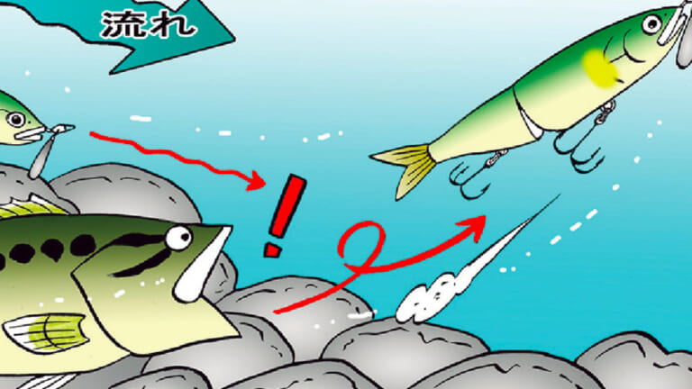 夏の爆釣攻略法「リリースした魚がどっちへ泳いでいくか観察しよう」