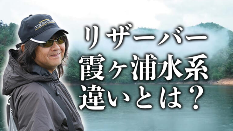 リザーバーと霞ヶ浦水系では、ビッグベイトをキャストする距離感が違うのはなぜ？