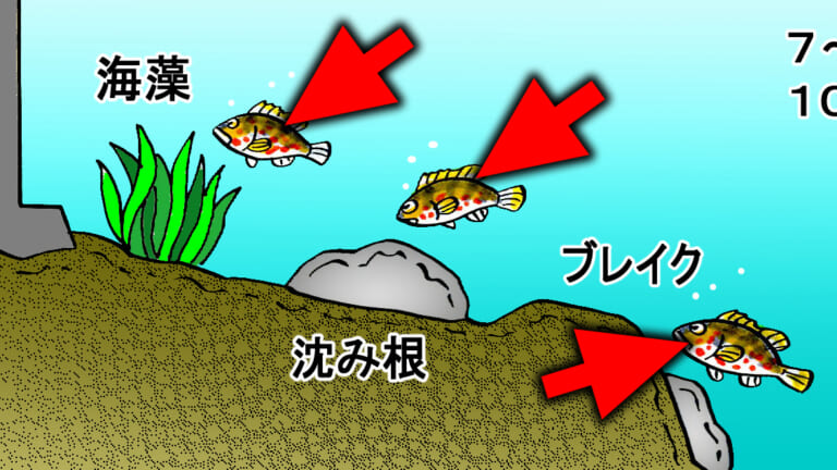 ［やはり…］大型キジハタが潜む水深には法則があった！歴20年のアコウハンターが指摘