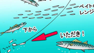 シマノ新作エギケースが最高すぎる！秋イカエギングに最適な機能