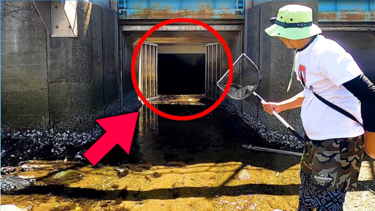 ［ウジャウジャ］謎のトンネルに大量の天然ウナギが存在！Youtuberが潜入した結果がヤバすぎた！