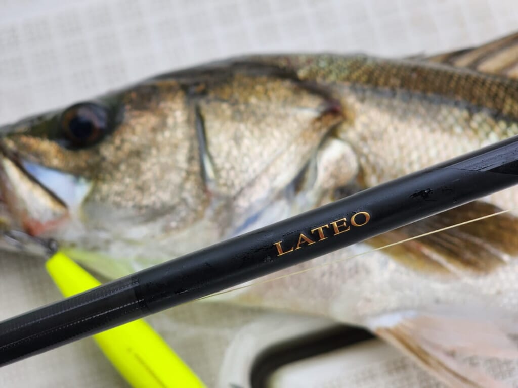 ボートシーバスロッドの「超ハイコスパ」異端児！初めての1本に