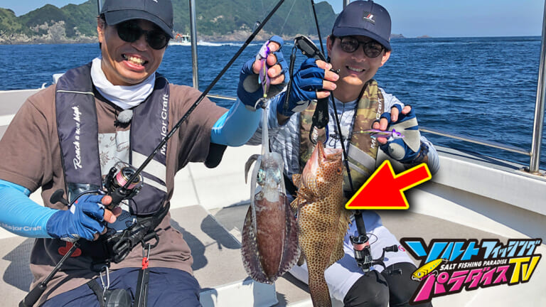 アオリイカいるところに根魚あり!?ティップランエギングでオオモンハタゲット！