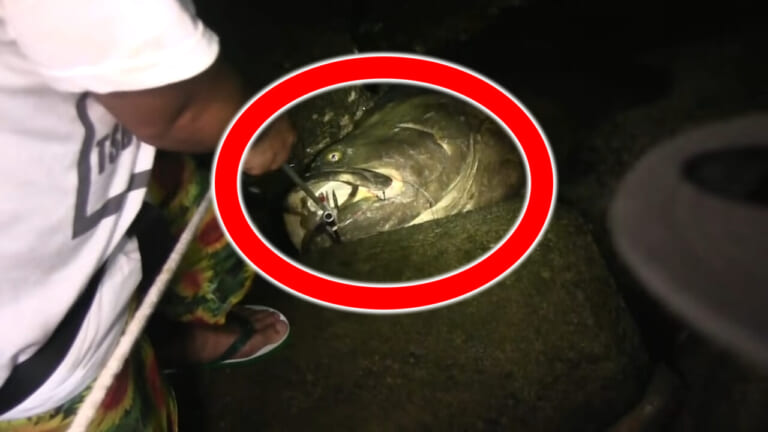 ［326万回再生］とんでもないモンスター捕獲の瞬間！人気Youtuberが炎上騒動に。