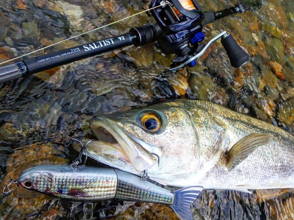 ベイトシーバス始めるなら『ソルティスト（DAIWA）』がアツイ