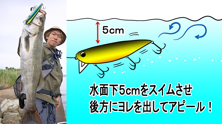 ｜【キモは水面下5cm】監修者が語るジャッカルの新シーバスルアー『ライコ132F』の使い方とは!?
