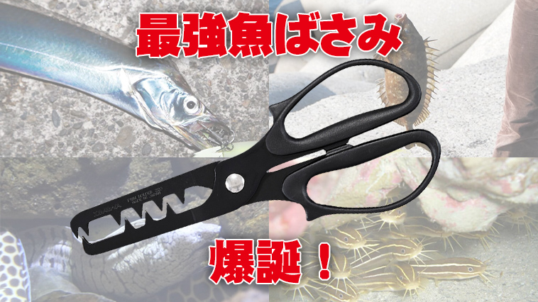 ｜【持ってて損なし！】魚をガッチリ掴む「超強力」魚ばさみが登場！『フィッシュホルダー220+F（DAIWA）』