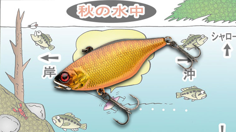 ｜秋バス狙いの効率UPなら断然バイブ！【ダウザー俺達。の4大巻きモノの使い分け】