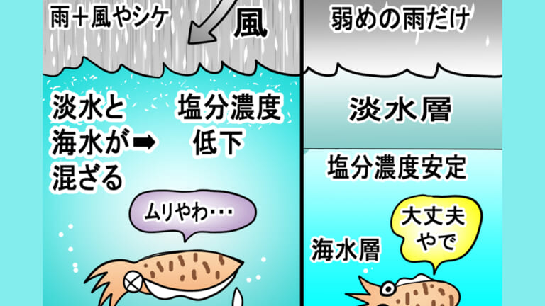 ［アオリイカ］悪天候はエギングに影響する？秋イカ攻略のカギを解説！