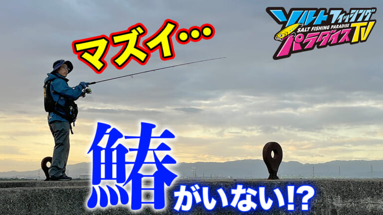 沖堤防に乗ったのにサワラが釣れない!?そんな場合のたった1つの解決策。