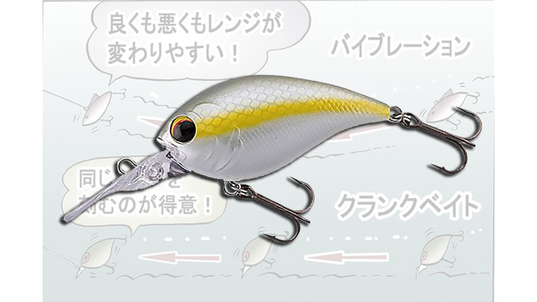 ｜スピーディーかつ正確にバスを探すならクランクベイト！【北大祐の4大巻きモノ使い分け】