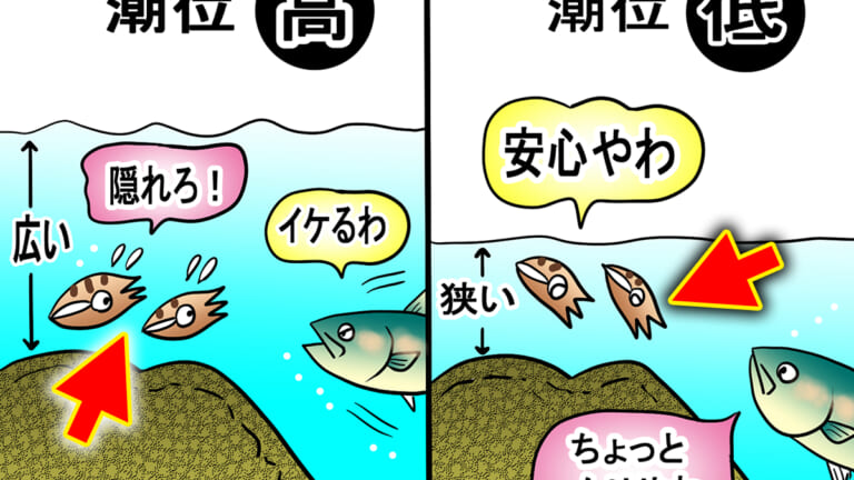 ［秋エギングの基本］干潮前後がベストの理由。浅場をテンポ良く探ると効率UP！