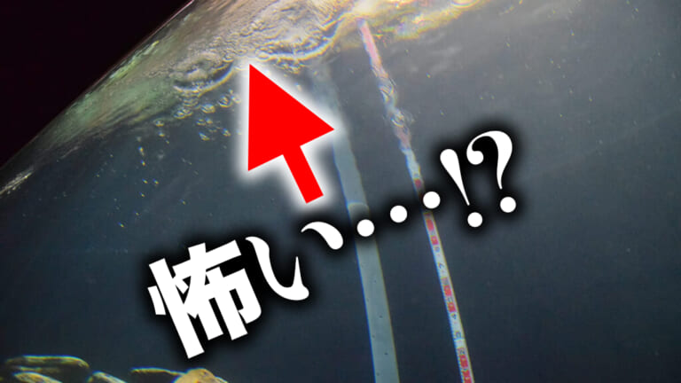 ［水槽実験］バス釣りでよく使うスキッピング。もしかして魚が怖がってるかも!?