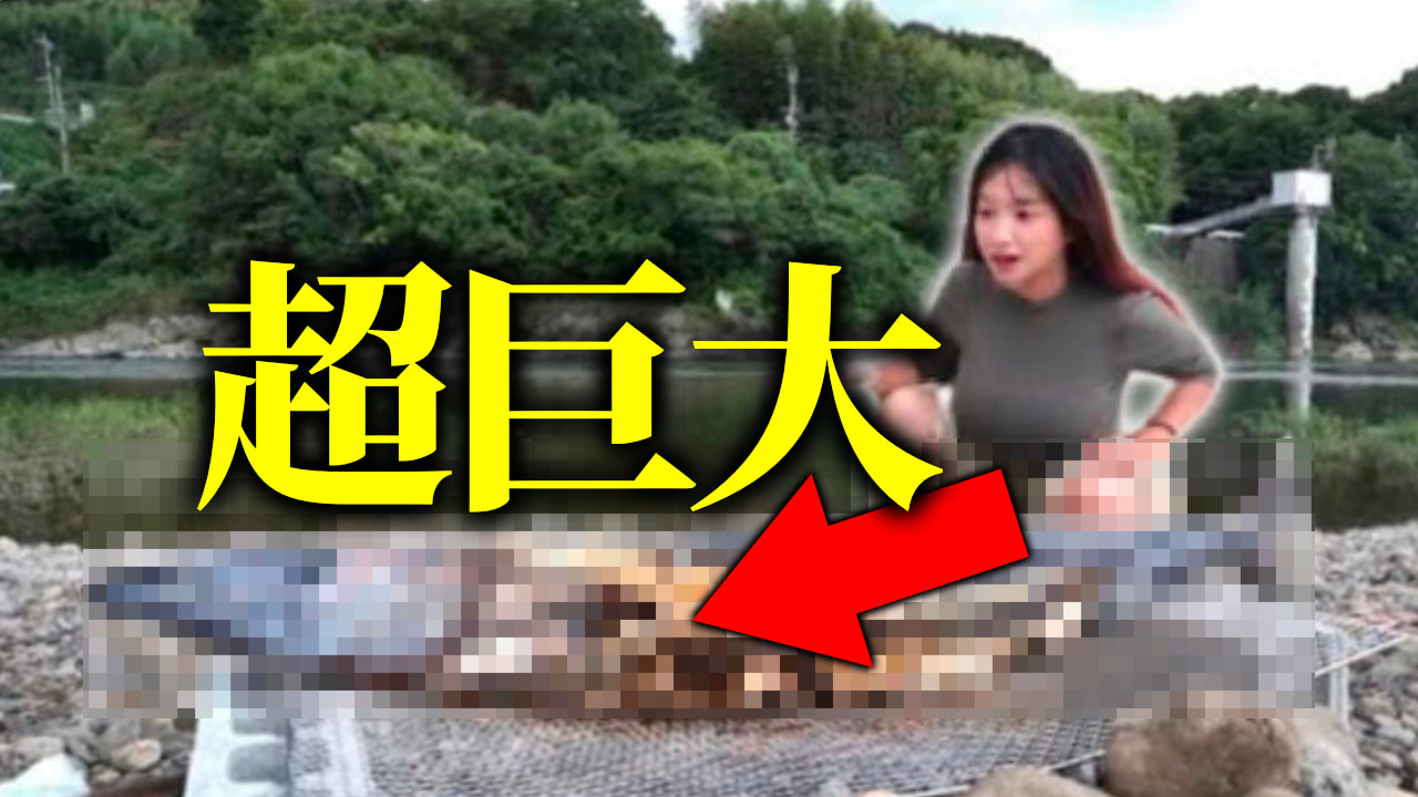 ｜《サワラ祭り》とんでもない巨大魚を豪快な丸焼きにした結果