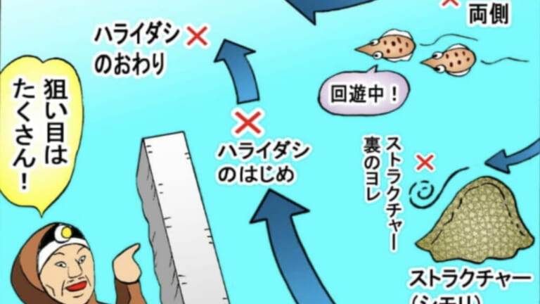 《シャクらないエギング》夜は簡単だけど奥深い“巻きの釣り”潮の流れを把握して釣果アップ！