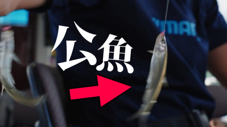 《豆知識》漢字で「公魚」と書く魚。由来に驚き。