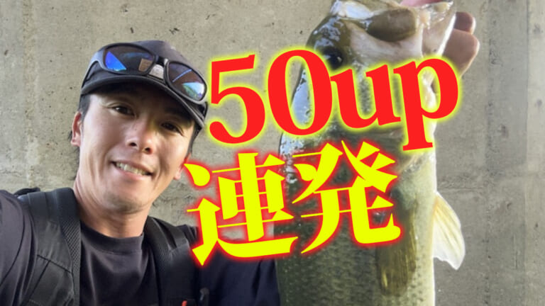 《50up連発》秋の霞ヶ浦水系を攻略。ヒントは「大きな川」と捉えて釣りをする。