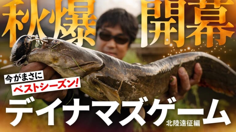 秋爆デイナマズゲーム！突然の北陸遠征司令！「初場所」攻略のセオリー［Fishman・渡辺明弘］