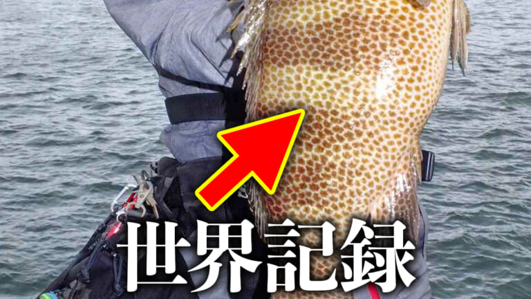 ［ナゼ…］世界記録の巨大魚捕獲！しかし予想外の展開に釣り人落胆。