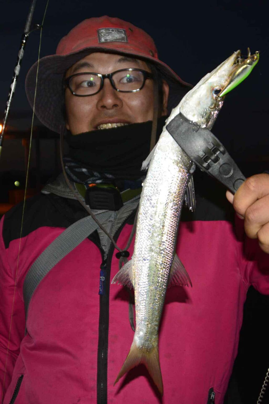 1本でこんなに釣ったことある!?】編集部溺愛『万能パックロッド