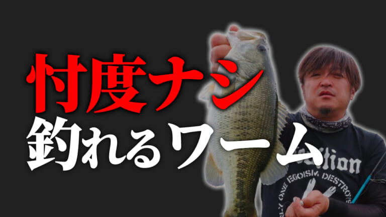 「セルフ忖度はあるかも？」ガチの釣れるワーム10選